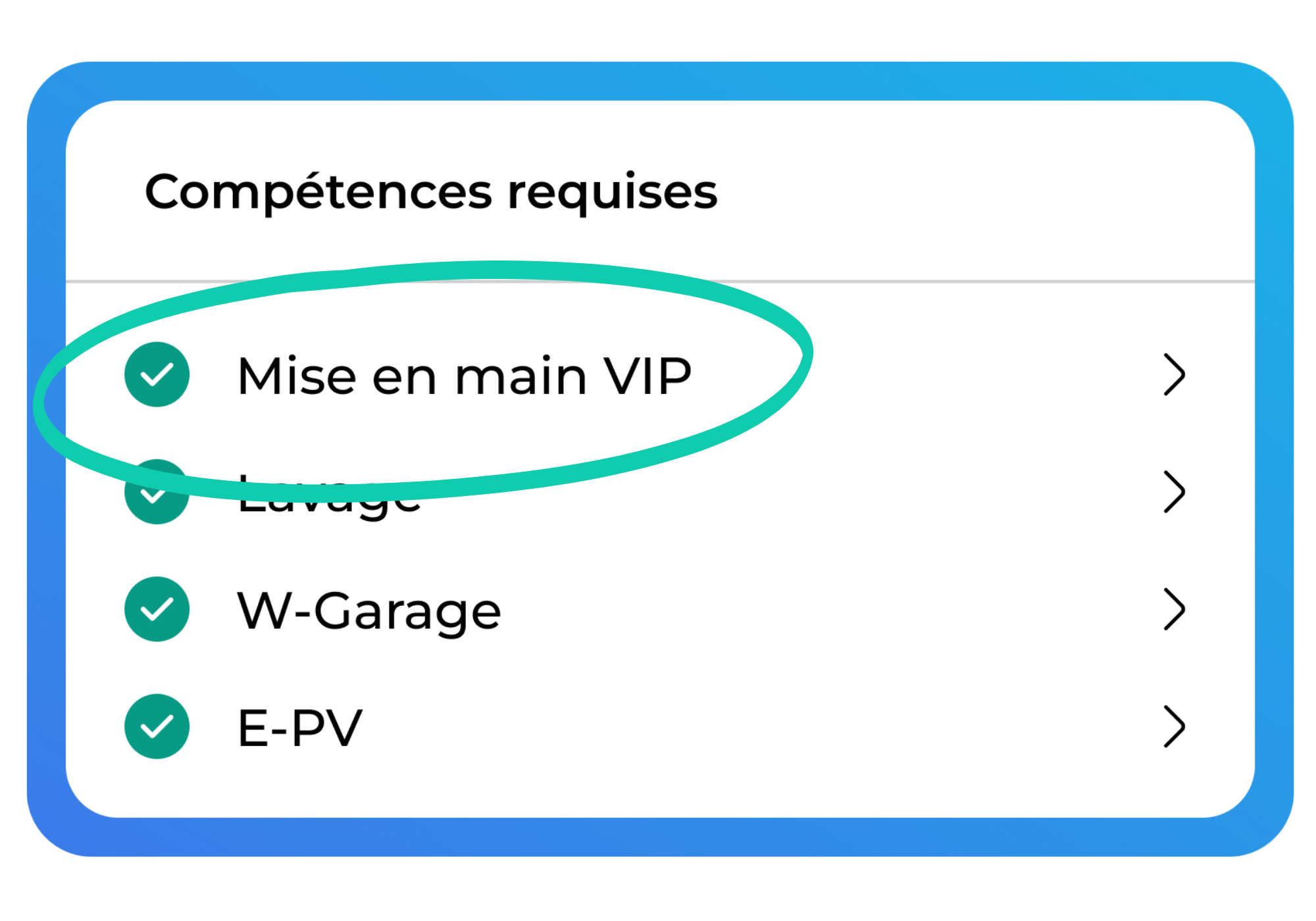 VIP.png